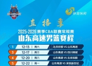  东野十二个纵队编制 