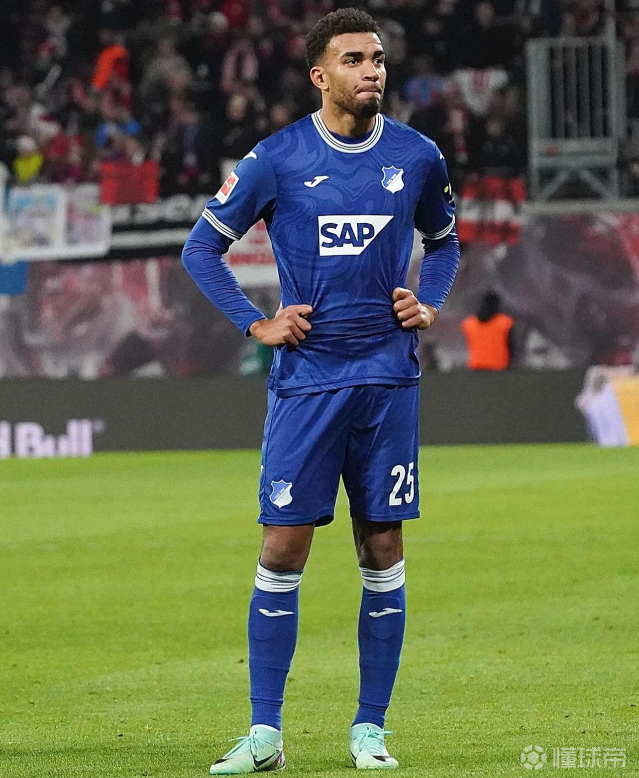 霍芬海姆客场不敌对手,遭遇失利 霍芬海姆客场不敌对手,遭遇失利